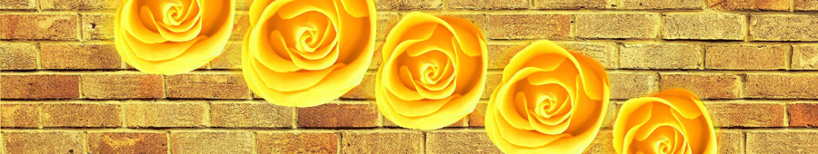 Скинали для кухни: Желтые розы на фоне кирпичной стены
