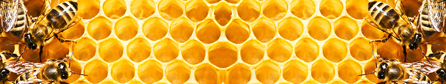 Скинали для кухни: Мед и  пчелы
