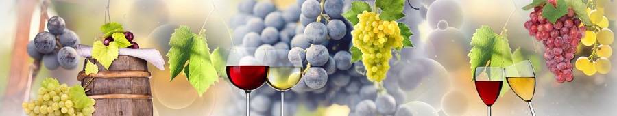 Скинали для кухни: Красное и белое вино и виноград