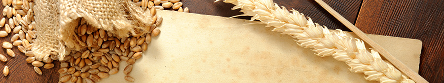Скинали для кухни: Зерна пшеницы