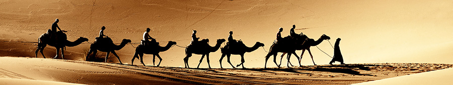 Скинали для кухни: Караван верблюдов в пустыне
