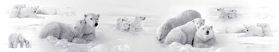 Скинали для кухни: Белые медведи
