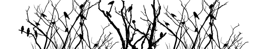 Силуэтные ветки деревьев и маленьких птичек