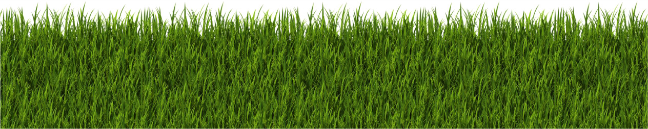 Скинали для кухни: Зеленая трава