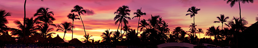 Скинали для кухни: Красивые тропические пальмы на закате