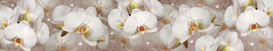 Скинали для кухни: Белые орхидеи с жемчужинами на коричневом фоне