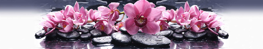 Скинали для кухни: Розовые орхидеи на камнях с отражением в спа салоне