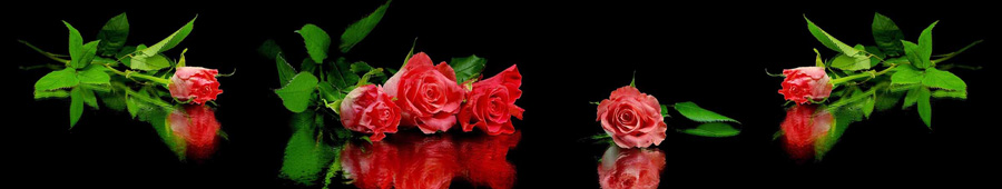 Скинали для кухни: Красные розы на черном фоне