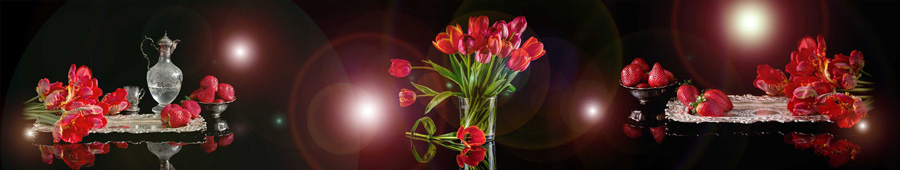 Красные тюльпаны на тёмном фоне
