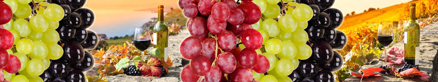 Скинали для кухни: Красивый виноград