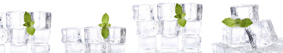 Кубики льда и веточки мяты