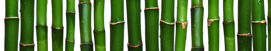 Скинали для кухни: Стебли бамбука