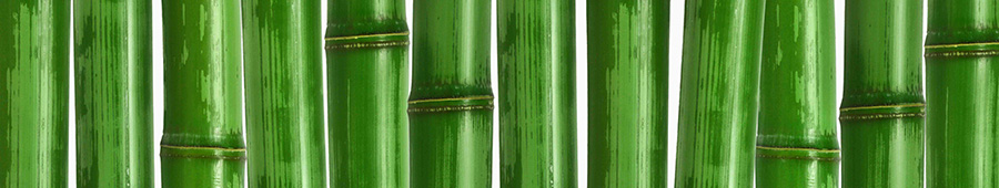 Скинали для кухни: Зеленая текстура бамбука