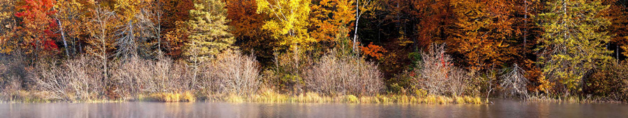 Скинали для кухни: Осенний пейзаж, лес на берегу озера