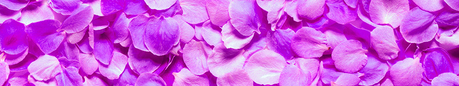 Скинали для кухни: Фиолетовые лепестки