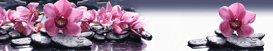 Скинали для кухни: Розовые орхидеи в спа салоне