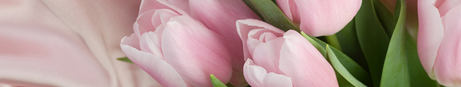 Скинали для кухни: Розовые тюльпаны