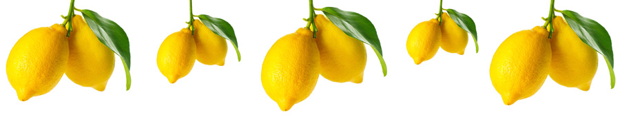 Скинали для кухни: Лимоны на ветках